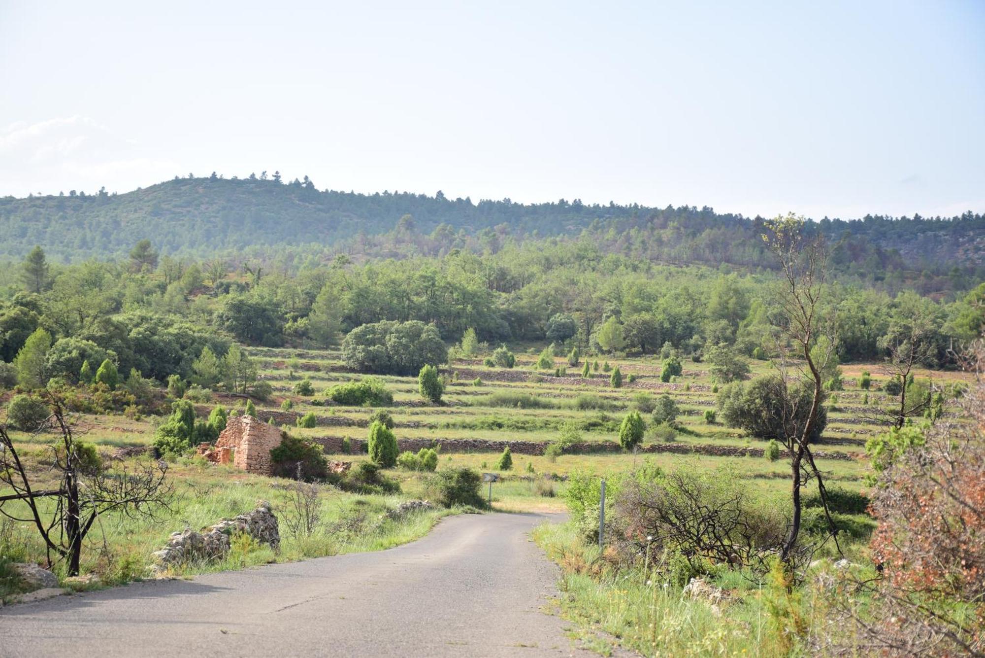 Oasis Rural Los Pastores Exterior foto
